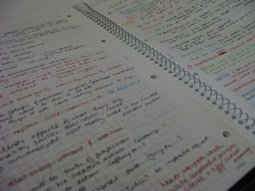 Revision Notes - photo by jez`