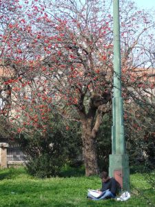 Study in the park - photo by ortonesque