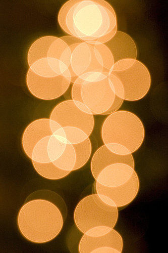 twinkle (photo by katiew)