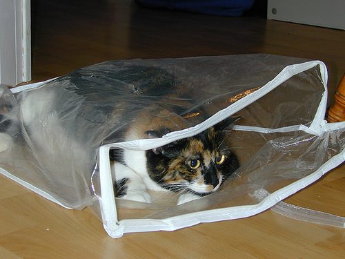 False sense of security