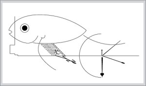 My Unconscious Mind (by Sara Al-Mudhaf)