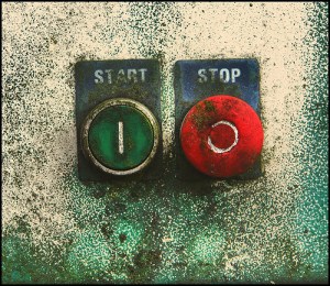 Photo by Compound Eye