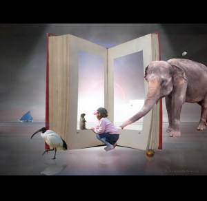 photo by h.koppdelaney