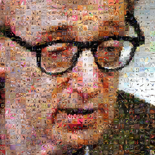 photo by Gilberto Viciedo