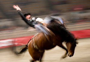 photo by john curley