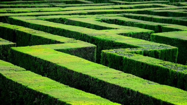Maze (photo by MarcelGermain) CC BY-NC-ND 2.0