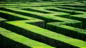 Maze (photo by MarcelGermain) CC BY-NC-ND 2.0