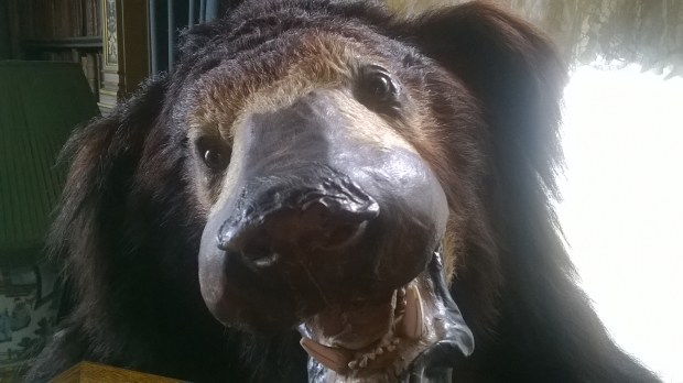 Photo taken with Nokia Lumia 530